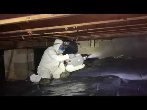 Mold and Moisture in Freehold, NJ