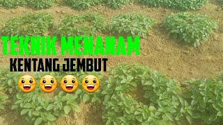 Download lagu TEKNIK DAN BUDIDAYA TANAMAN KENTANG JEMBUT (Gareng) mp3