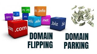 How to earn $1000 by domain parking or flipping