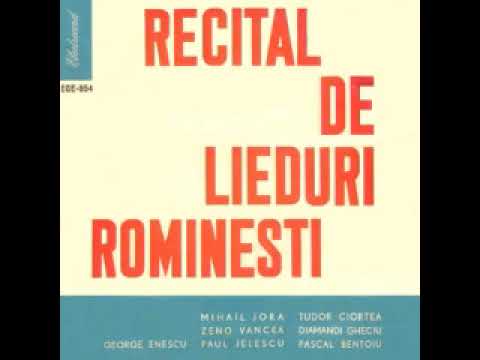 Marius Rintzler-Taranul cazut-1907