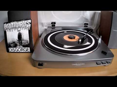 Agathocles - Disgorge - split 7 inch