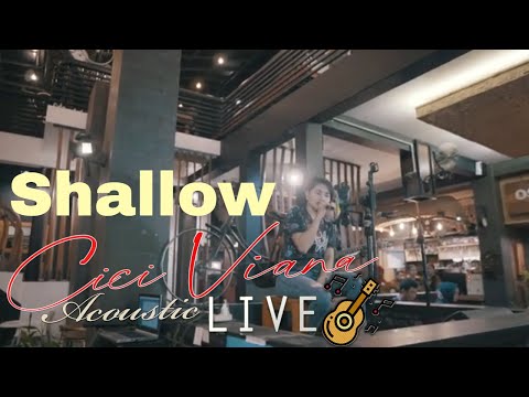 Shallow - Lady Gaga & Bradley Cooper (Cici Viana Acoustic Cover LIVE)