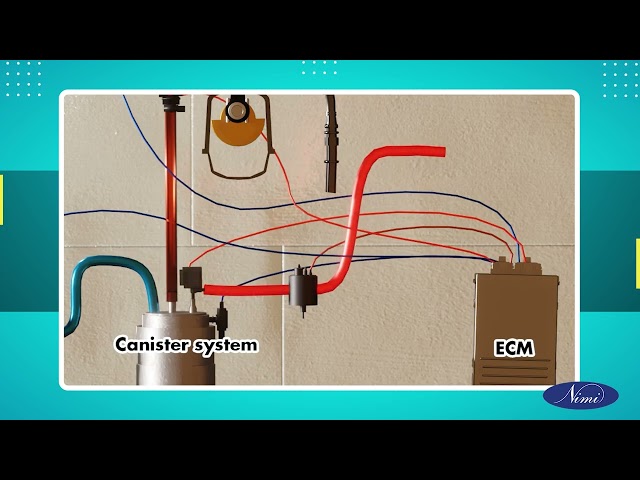EVAP Canister System
