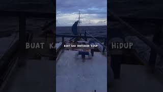 Download lagu Motivasi dari pelaut tangguh #shorts #pelaut #motivationshorts mp3