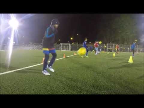 THEMA TRAINING - senseball