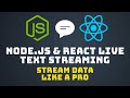 Stream Like a Pro: Building Real-Time Text Streaming with Server-Sent Events in Node.js