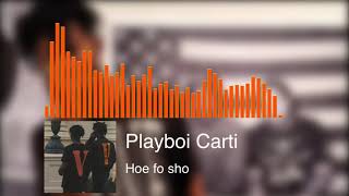 Playboi Carti - Hoe fo sho [8D Audio]