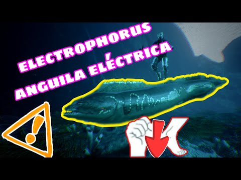 anguila electrica / electrophorus doma sencilla sin rodeos 2 métodos información completa ark mobile