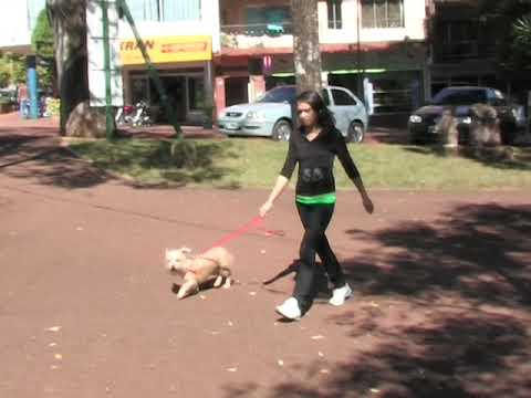 Leandro N. Alem. Misiones