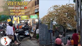 Real Hanoi Life at 6PM ? | Full Moon Market & Beautiful Spid…