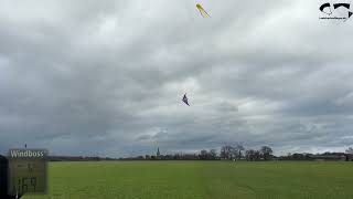 Prism Kites Micron