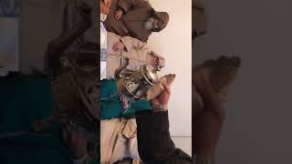 ٢- لقاء الشيخ مشهور بالشيخ محمد الجردي والشيخ محمد احمامو وجمع من طلبة العلم image