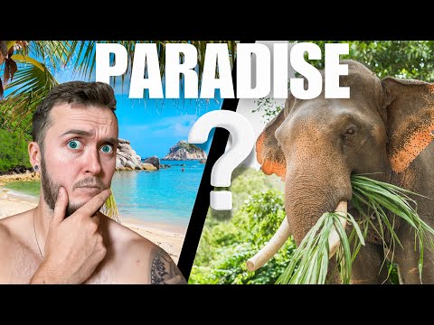 Are Koh Tao & Koh Samui REALLY paradise islands???  Thailand 🇹🇭