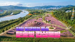 🌸 합천 핑크뮬리 핫플, 신소양체육공원 분홍빛 감성 폭발.2025 황매산 🎋억새축제 ,은빛 물결 황매산의 가을을 걷다!!!