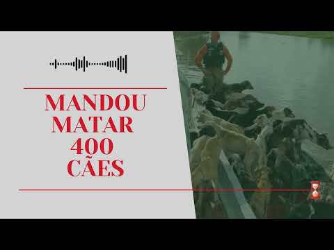 O prefeito que ordenou a morte de 400 cachorros | Dossiê Marajoara(2013) Episódio 03