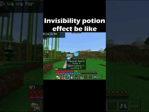 side-effects of invisibility potion #minecraft #gamerboytamil