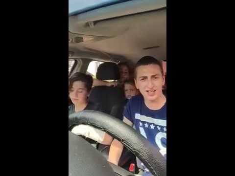 დაბოლილი ყვავი ~ (Live)