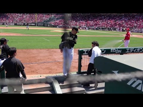 宇宙はポニー牧場ではない