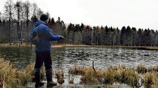 Ссылка