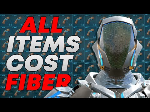 I Spent 24 Hours On Ark Fibercraft, Here's What Happened