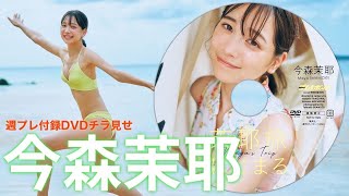 【2024/10/28発売！週プレNo.46付録DVDチラ見せ♪】『グラジャパ！』ならDVDが視聴できる♪  #今森茉耶