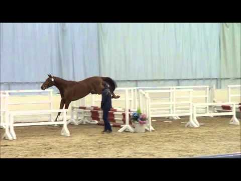 Quatschmann v. Quaid - Escudo