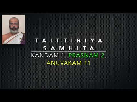 TAITTIRIYA SAMHITA 1.2.11 - Brahmasri Sri Ramesh Dravid