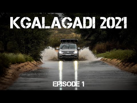 Kgalagadi Transfrontier National Park 2021 ,Twee Rivieren na Nossob.