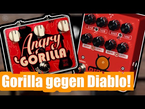 Overdrive Pedal vor einem cleanen Amp: Marcus Deml Angry Gorilla und Okko Diablo - SUPERGAIN TV 216