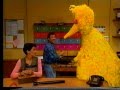 Sesame Street Big Bird Wants To Play With Luis
