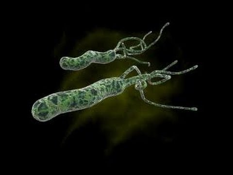 comment traiter h pylori