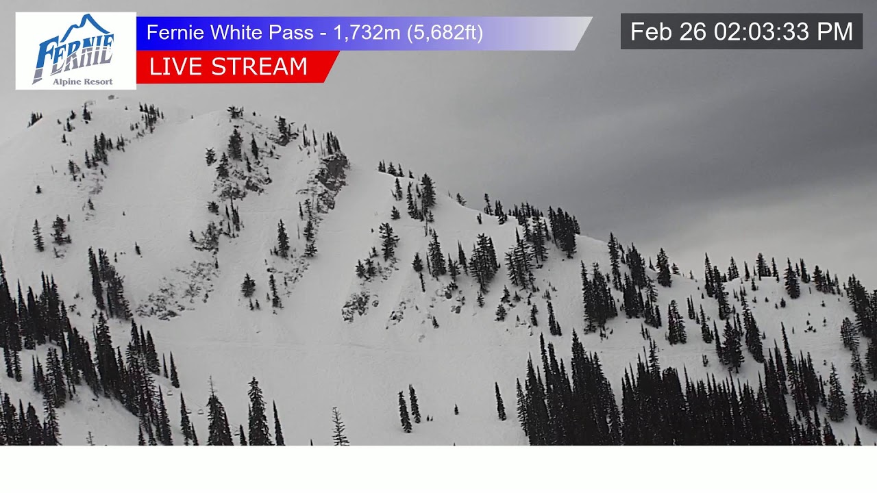 White Pass Chair