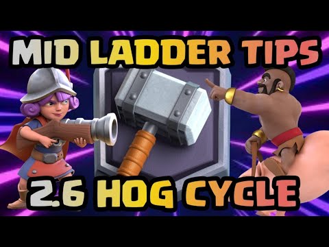 MID LADDER TIPS AND TRICKS FOR  2.6 HOG CYCLE - 2.6 Hog Cycle Guide