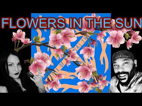 X Japan Rose of Pain    HD 720p