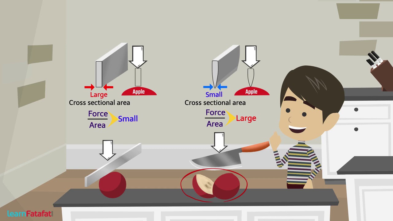 Force and Pressure Class 8 Science - Pressure