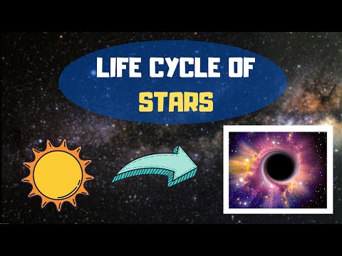 Life Cycle of a Star Explained in 3 MINUTES! (Animation Model!) | Mint Tree | #LifeCycleofaStar 🌌