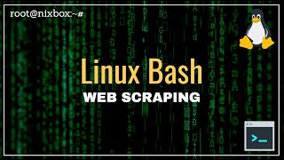 How to Scrape a Web Page Using Bash Script