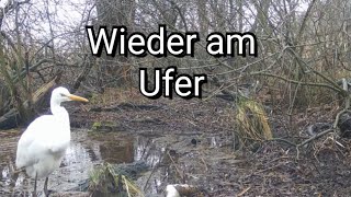 Zurück zum Ufer. Die kleine Horsdo wiedermal.
