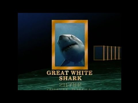National Geographic - Great White Shark: Truth Behind the Legend (2000)