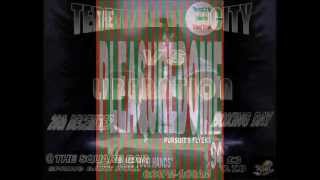 THE OCCUPANT - PLANETARY AFFAIR (1994 JUNGLE/HARDCORE)