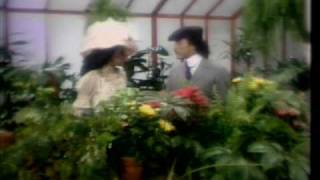 Shalamar - I Don&#39;t Wanna Be the Last to Know (Official Music Video)