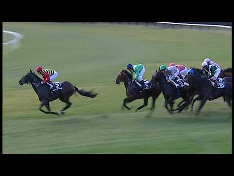 2019-12-08 Corsa 2 Metri 1750 Premio Le Mura di Pisa