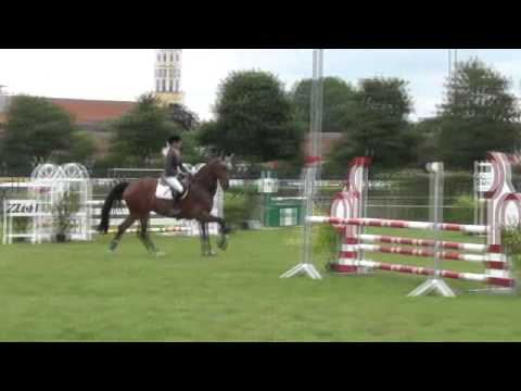 Sportpferde-ASG - Pionier SPF A**  Ochsenhausen 6-2012