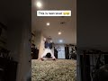 This Would Be An Elite TD Celebration Via  Itsyaboyaustin Shorts