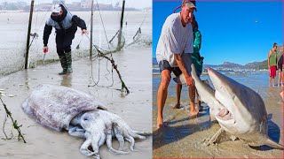 Catching Seafood š¦š ASMR Relaxing (Catch Shark , Catch Fish ,Deep Sea Monster ) #423