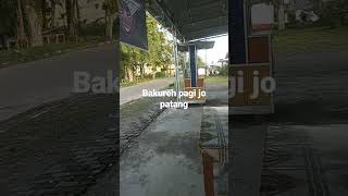 Download lagu bakureh pagi jo patang mp3 Download lagu bakureh pagi jo patang mp3