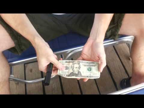 Million Dollar Baby by Hugo Valenzuela