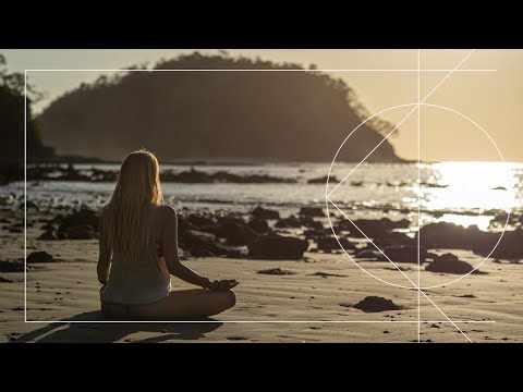Guided Meditation For Overcoming Fear & Shifting Reality | 15 Minutes Of Peace