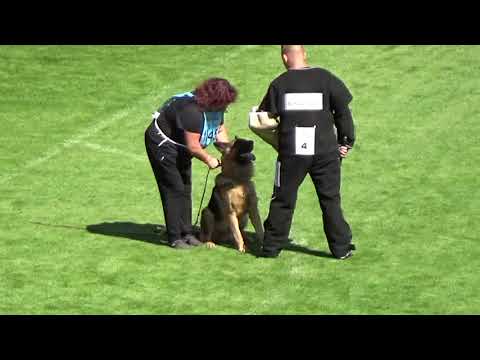 2021 SV BSZS TSB 1045 V28 Untox aus der Brunnenstrasse