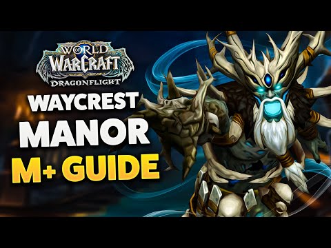 WAYCREST MANOR M+ DUNGEON GUIDE (Dragonflight Season 3)